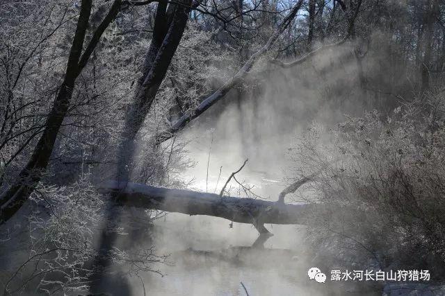 你在面试时撒过最大的谎是什么？